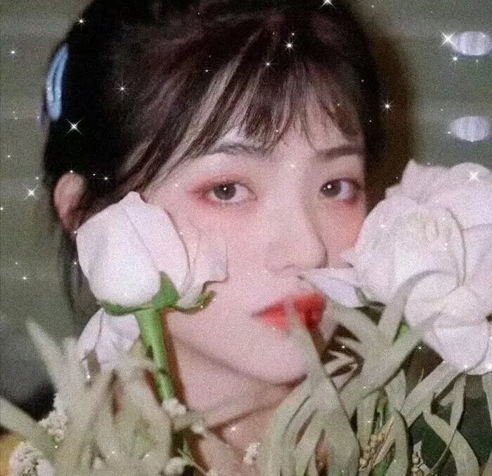 抵达之谜